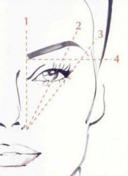 The oft-referenced brow guide